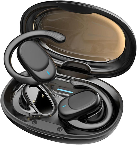 Translation earbuds inside of clean black case